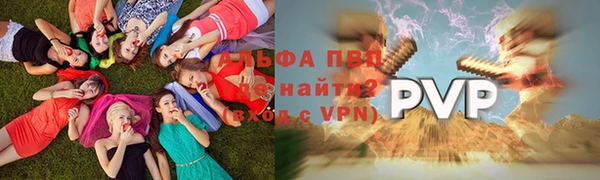 индика Балахна