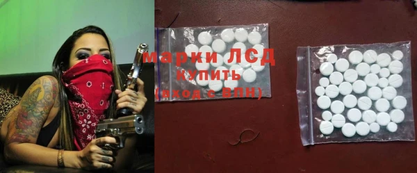 индика Балахна
