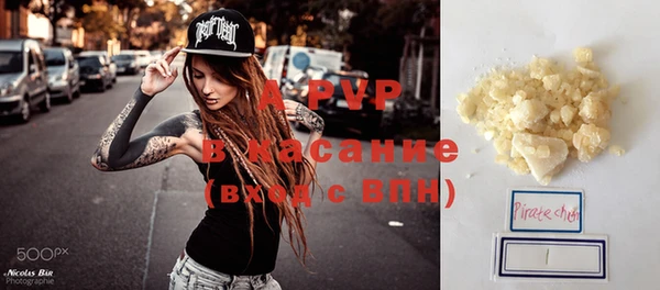 индика Балахна